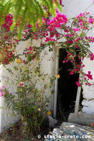 Photo report of a trip around Sfakia, Crete, May 2006